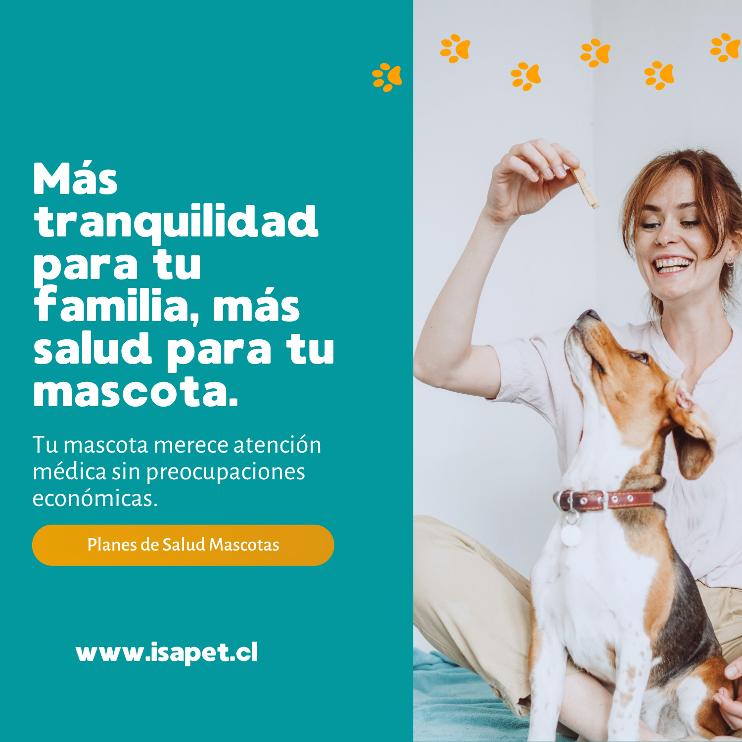 Mascotas felices Isapet