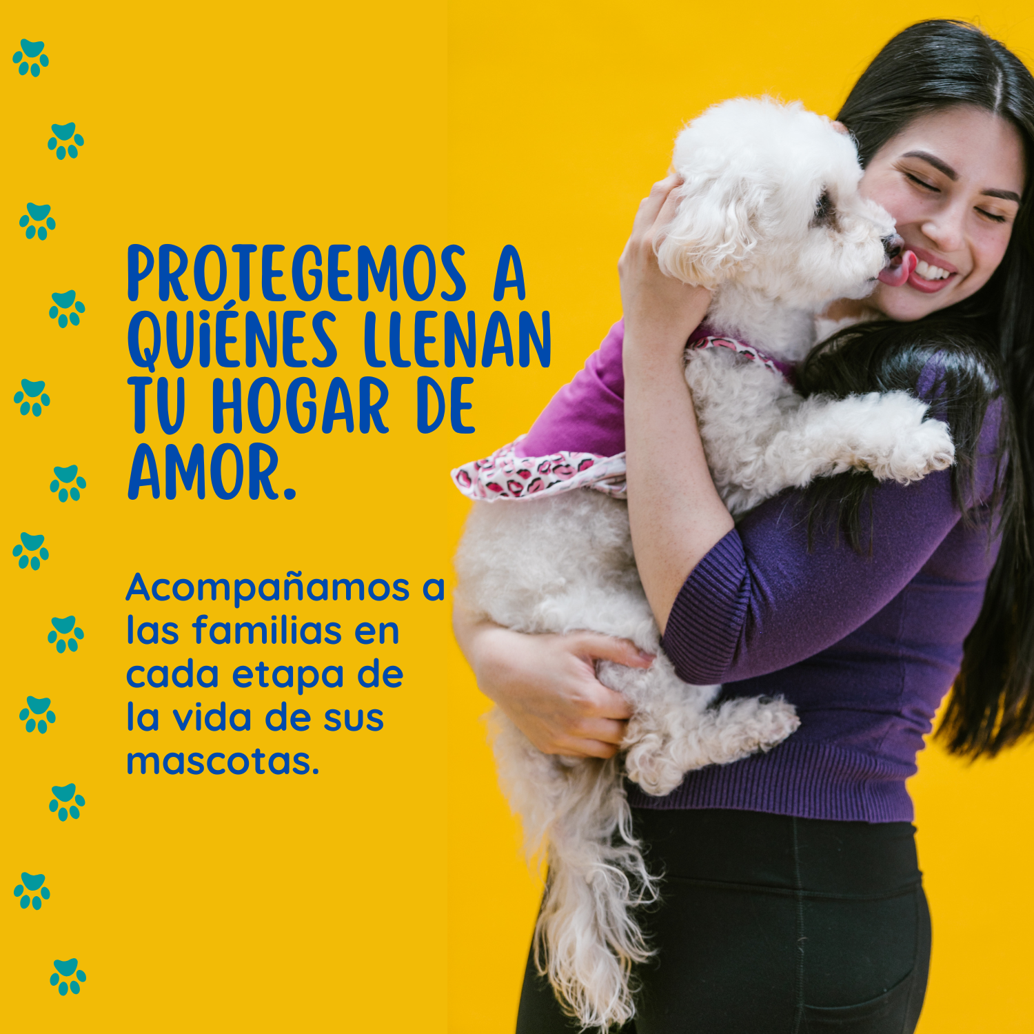 Tutores y mascotas Isapet